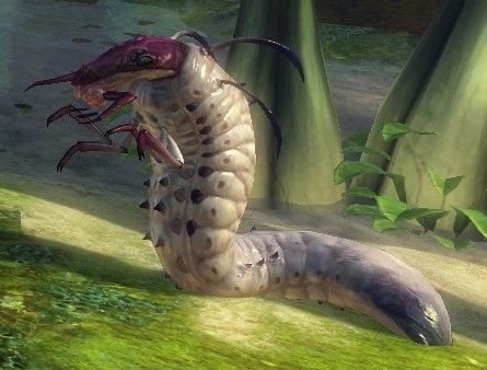 Larve de termite géant Guild Wars 2 Wiki Français GW2W FR