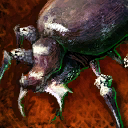 Fichier:Mini-scarabée.png