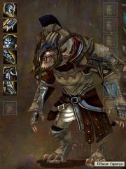 Armure homme charr