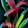 Iris rouge séché (bleu).png