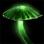 Fichier:Spore de champignon géant.png