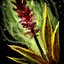 Fichier:Fleur de glaieul odorant.png
