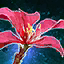 Fichier:Fleur de Térébinthe.png