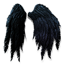 Fichier:Pack de deltaplane d'ailes à plumes noires.png