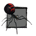 Fichier:Jeune araignée veuve noire.png