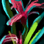 Fichier:Iris rouge préservé (Raffiné).png