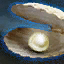 Fichier:Carapace de perles (objet).png
