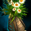 Fichier:Pot de chrysanthèmes.png