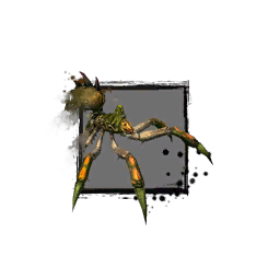 Fichier:Jeune araignée des bois.png