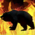Brûler un ours dans les Hinterlands harathis.png