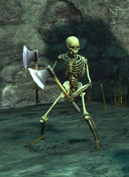 Fichier:Squelette (Serviteur de la liche).jpg