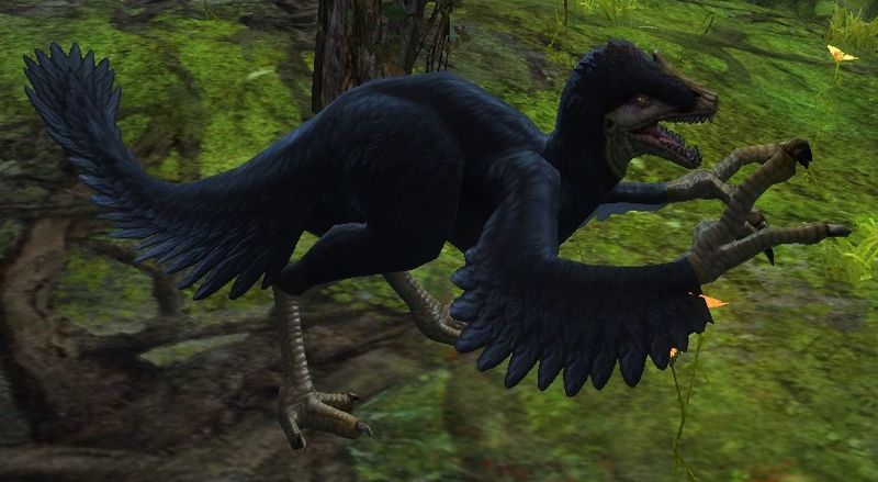 Fichier:Raptor noir.jpg