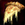 Pizza au fromage.png
