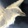 Mini-Svelicht le corbeau de brume.png