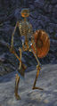 Un squelette avec une hache et un bouclier.