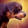 Mini-rottweiler.png