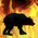 Brûler un ours noir de la Montée de Flambecœur.png