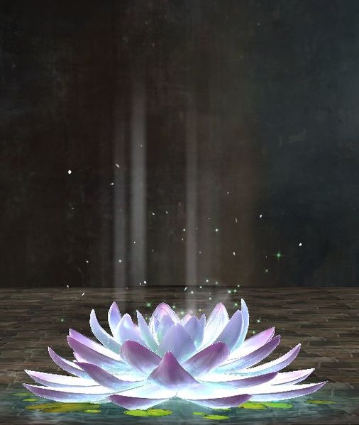 Fichier:Siège de lotus mystique.jpg